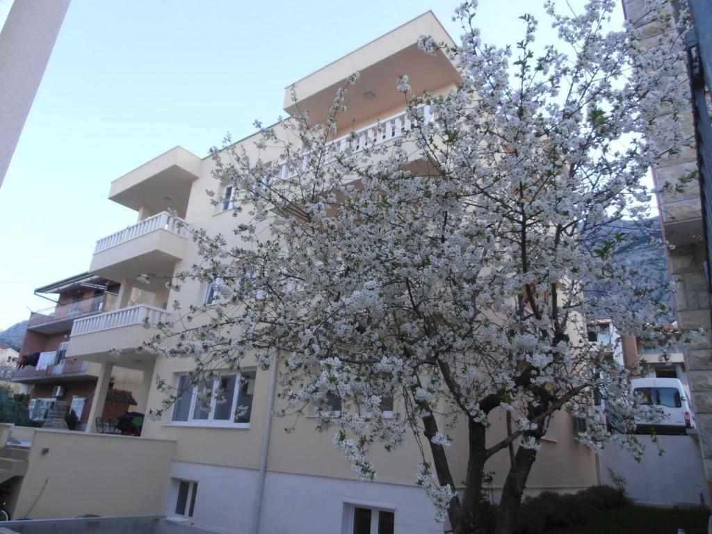 Villa Lelas Makarska Extérieur photo